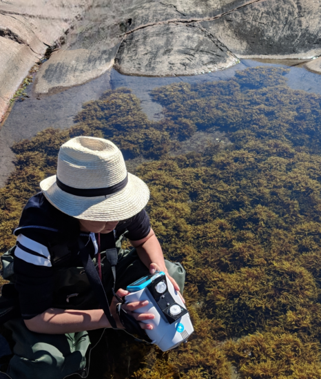 caracterisation-algues-cgq