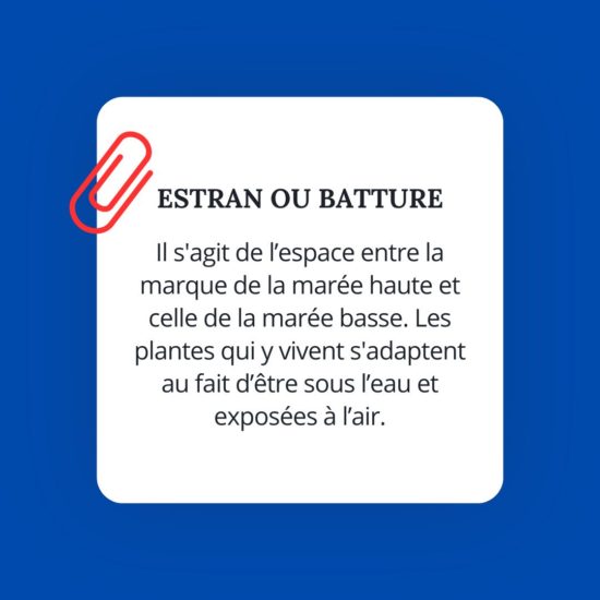 estran