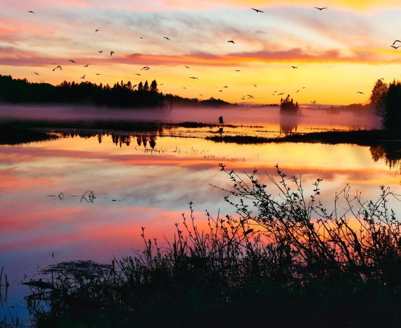 milieux-humides-uqam-cgq