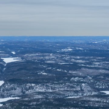 Nisula nord Forestville